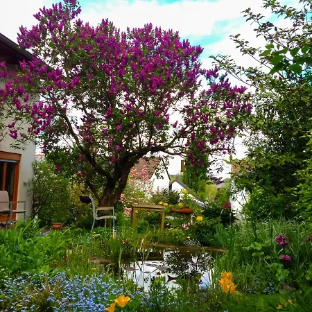 Apartment Behagliches Haus Mit Kamin Und Romantischem Garten *
